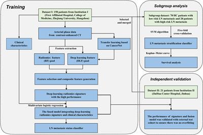 Deep Learning Radiomics to Predict Regional Lymph Node Staging for Hilar Cholangiocarcinoma